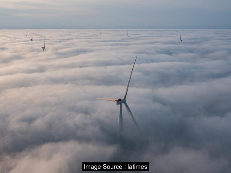 트럼프의 재생에너지 공격, 에너지 패권 주장의 허구를 드러내다